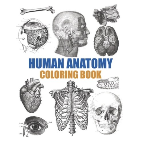 Human Anatomy Coloring Book: An Entertaining Human Body Coloring Book for Adults Teens Doctors Nu... Paperback, Independently Published, English, 9798737030902