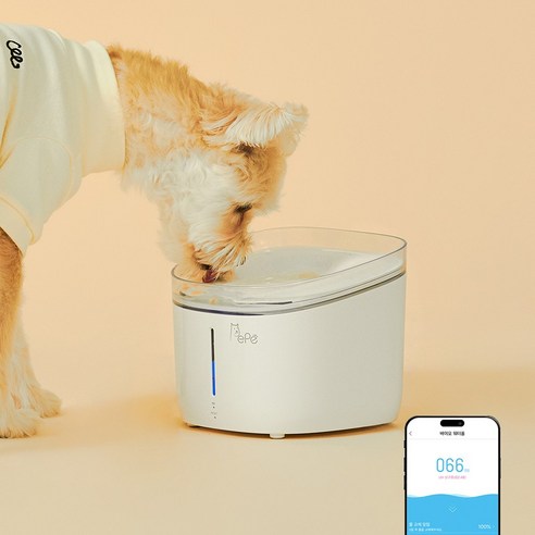 페페 강아지 고양이 저소음 UV살균 IoT 정수기 CW-100 자동급수기, 화이트, 1개