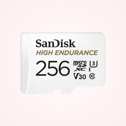 샌디스크 마이크로 SD 카드 QQNR High Endurance, 256GB