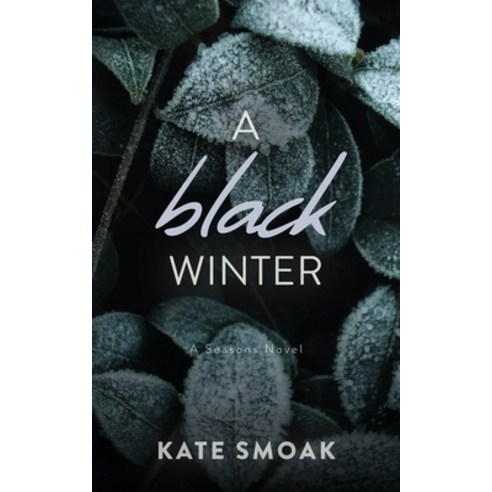 (영문도서) A Black Winter Paperback, Vibe Pub, English, 9781738002528