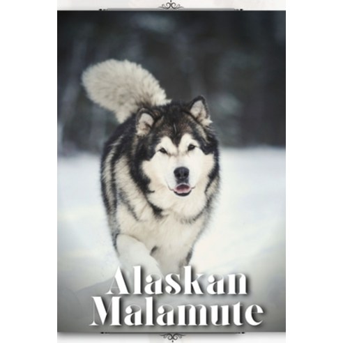 (영문도서) Alaskan Malamute: Dog breed overview and guide Paperback, Independently Published, English, 9798850821913