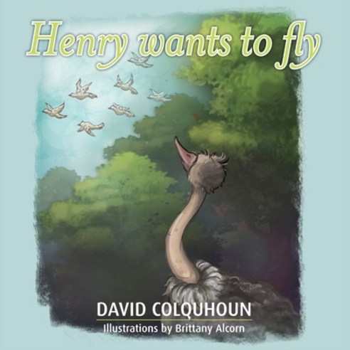 Henry wants to fly Paperback, David Colquhoun, English, 9780645001426