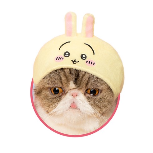 치이카와 고양이 모자 캡슐토이: 귀여움으로 일상을 물들이다