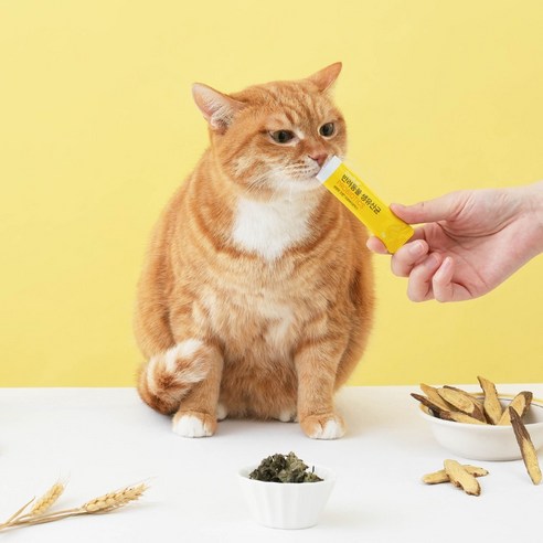 펫펫펫 굿랩 프로바이오틱스로 반려동물 장 건강과 면역력을 한 번에!