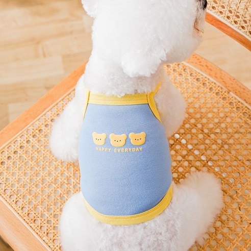 귀여운 곰 세마리가 살아있는 강아지 옷