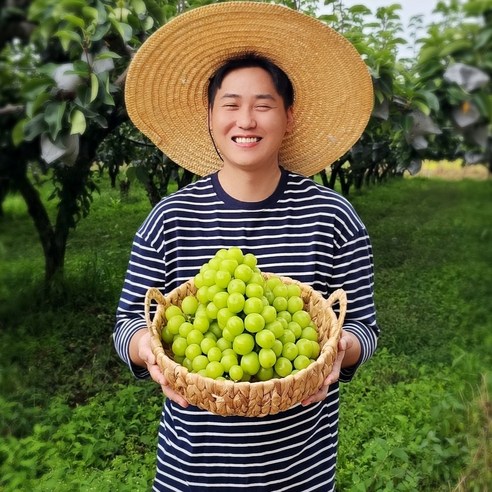 다조은 비파괴당도선별 샤인머스켓, 500g, 1팩 11 스테비아급 고당도 망고포도 샤인머스켓, 2kg / 2~3수 / 왕특, 1개