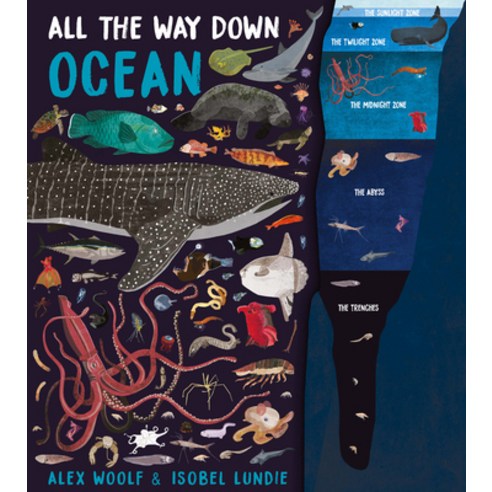 All the Way Down: Ocean Hardcover, Book House, English, 9781913337834