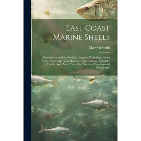 (영문도서) East Coast Marine Shells: Descriptions of Shore Mollusks Together With Many Living Below Tide... Paperback, Legare Street Press, English, 9781022893320