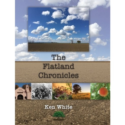 (영문도서) The Flatland Chronicles Hardcover, White & Wilkinson Publishing, English, 9781735438405