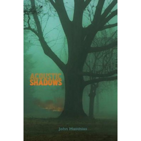 Acoustic Shadows Paperback, Shearsman Books