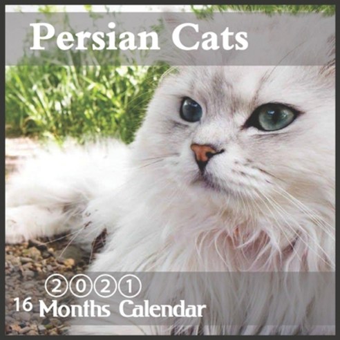 Persian cats: 2021 Wall Calendar 16 Month Calendar "8.5x8.5" Inch Paperback, Independently Published, English, 9798554233777