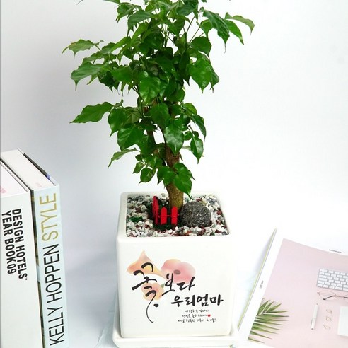 캘리그라피 메세지화분 꽃보다 OOO