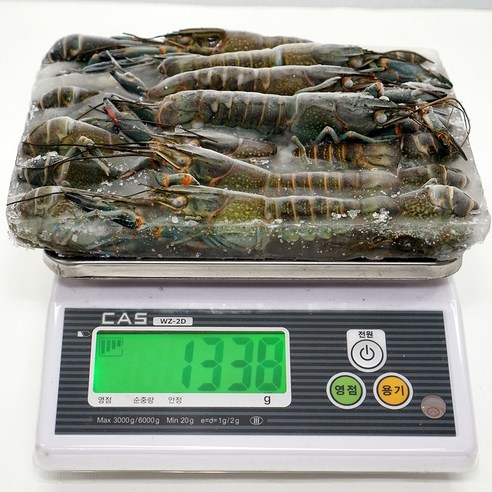 신선하고 영양가 풍부한 마라롱샤 인도네시아 크레이피쉬: 다양한 요리에 적합한 맛있는 해산물