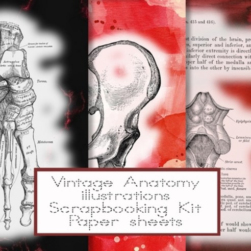 Vintage anatomy scrapbooking kit paper sheets: Scrapbooking kit in a book for creating sketchbooks -... Paperback, Independently Published
