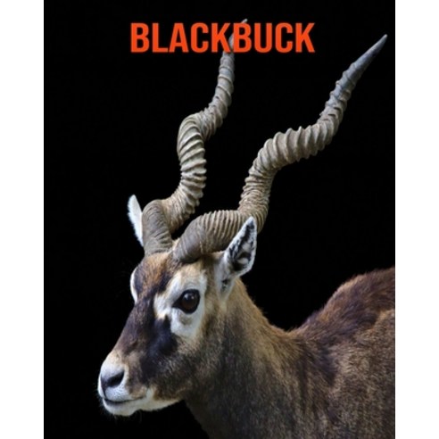 Blackbuck: Amazing Photos & Fun Facts Book About Blackbuck For Kids Paperback, Independently Published, English, 9798745144837