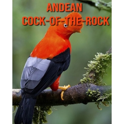 Andean Cock-of-The-Rock: Amazing Facts & Pictures Paperback, Independently Published, English, 9798692958136