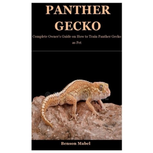 Panther Gecko: Complete Owner''s Guide on How to Train Panther Gecko as Pet Paperback, Independently Published, English, 9798715761798