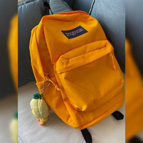 잔스포츠 잔스포츠백팩 백팩 빅스튜던트 메시 미니 파인트 하프 여성 JanSport 레드