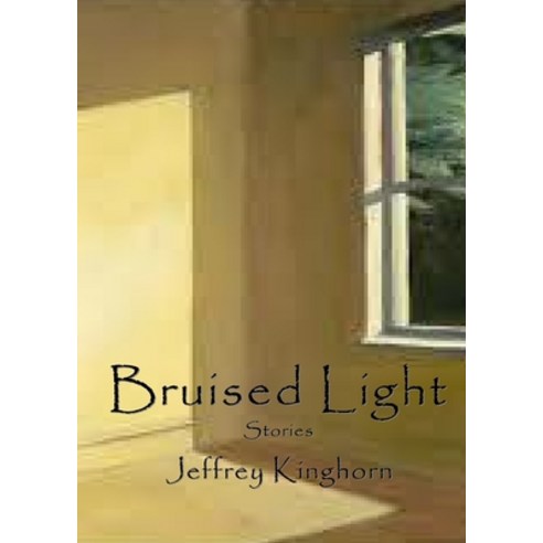 Bruised Light: Short Stories Paperback, Rmj Donald, LLC, English, 9780996687096