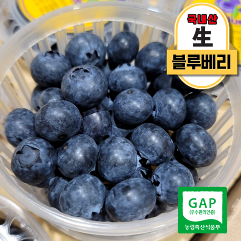 국내산 GAP인증 생 블루베리, 1박스, 3팩(16mm이상 300g) Best Top5