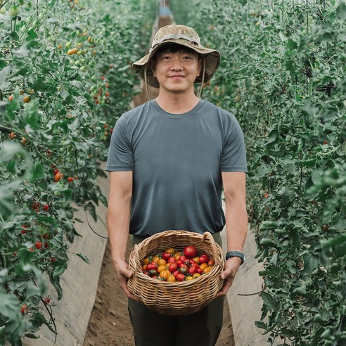 당일수확의 달콤한 맛을 만끽하세요.