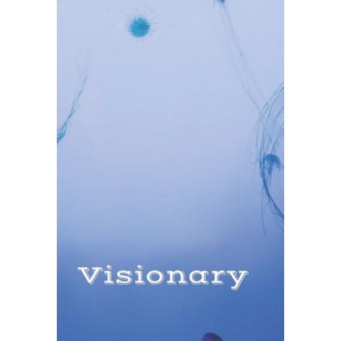 (영문도서) Visionary Paperback, Independently Published, English, 9781795858649