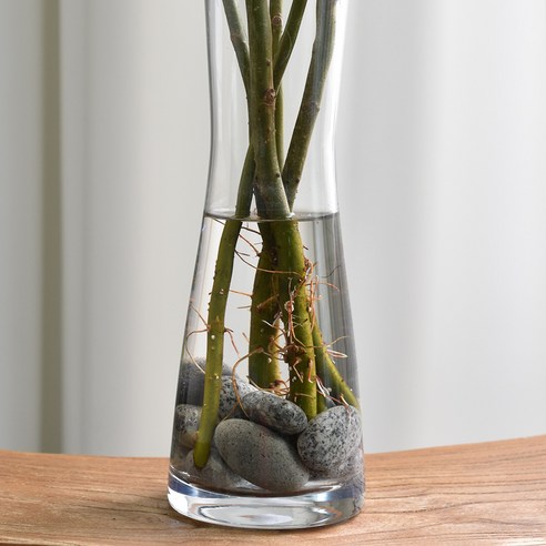 곱슬버들 생화 그린 소재: 스타일과 기능성의 완벽한 조화