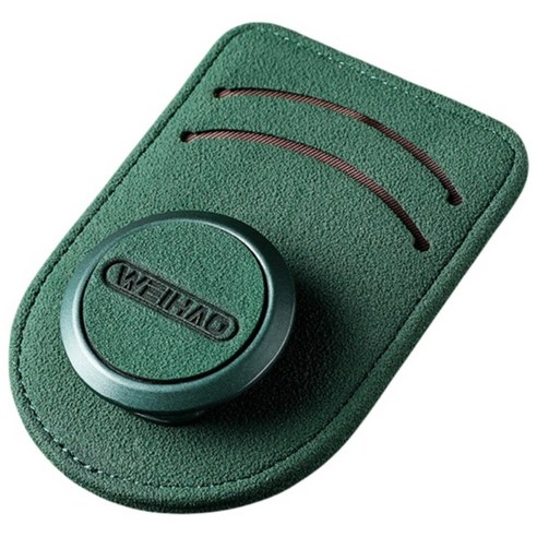 MJ21 차량용 선글라스 가죽 클립 카드수납 2in1 안경걸이, 그린, 1개