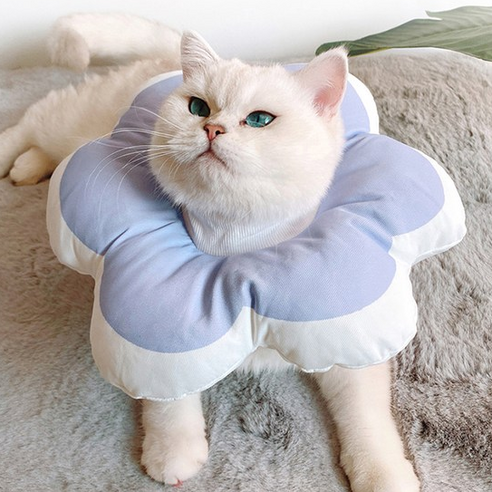 키티요요 넥카라, 1개