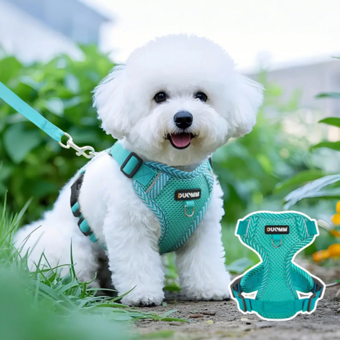 Jeernare 강아지하네스 강아지가슴줄 소현견+고양이 겸용 +리드줄세트, 1개, 민트