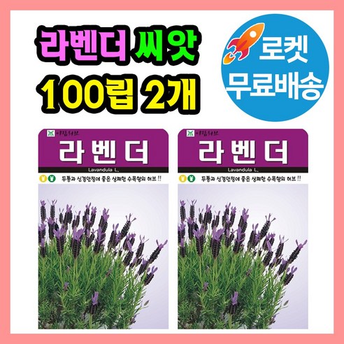 허브 라벤더 씨앗 (합 200립) 허브씨앗 종자, 2개