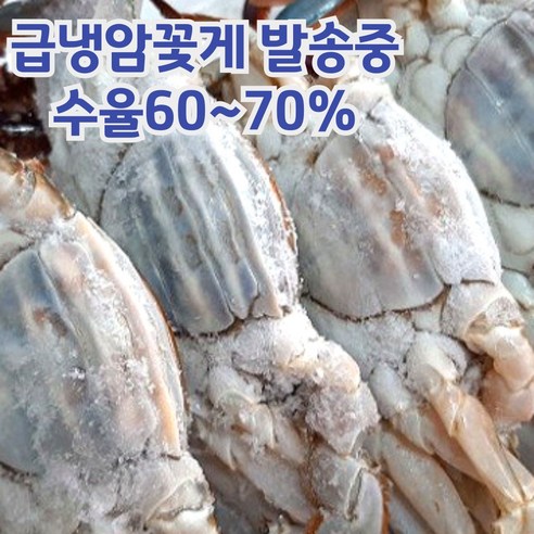 산지직송 서해안 활 꽃게, 활꽃게_2kg, 1개