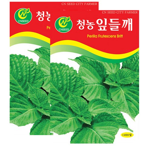 세인화분 잎들깨 1400립, 2개