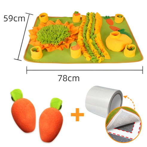 댕댕이 스트레스, 맘껏 킁킁 파헤치며 날려버리세요!
