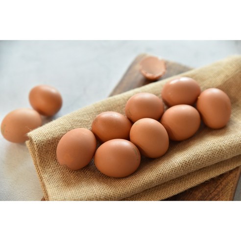 알부자집 무항생제계란 대란, 건강한 계란을 농장직송으로 안전하게 배송