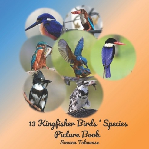 (영문도서) 13 Kingfisher Birds'' Species Picture Book: Photobook of Kingfisher birds A Coffee Table Book ... Paperback, Independently Published, English, 9798523092886