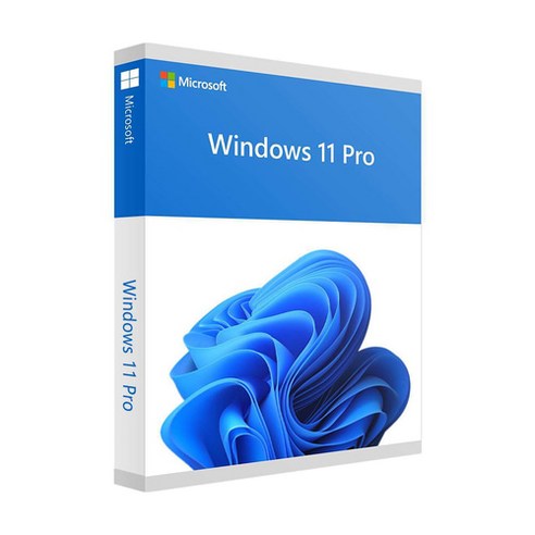 {추가}Microsoft Windows 11 Pro (DSP 64bit 한글)