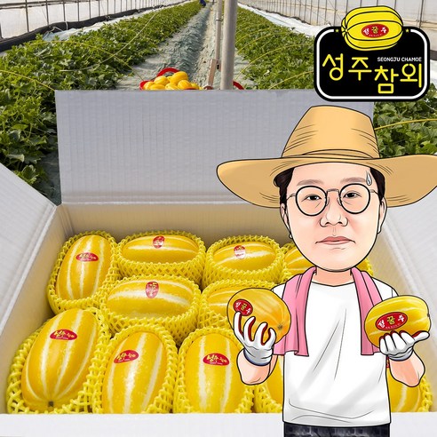 신선하고 달콤한 프레시왕 고당도 성주 꿀 참외