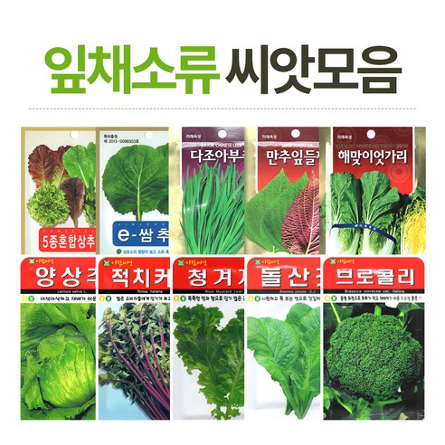 화분월드 채소 씨앗(잎채소류), 10종혼합쌈채, 1개