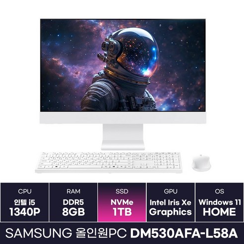 삼성전자 올인원PC DM530AFA-L58A 인텔 i5 13세대 일체형PC 윈도우 탑재 (1TB) / KCJH