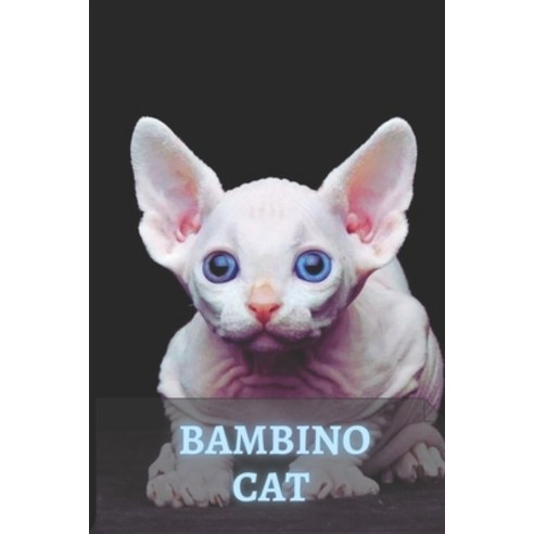 (영문도서) Bambino Cat: The Sphynx Cat Munchkin Mix Paperback, Independently Published, English, 9798512443774