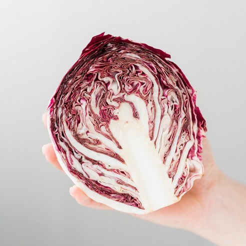 국내산 라디치오 아삭한 레드 치커리, 1개, 4~8통(총 2kg)