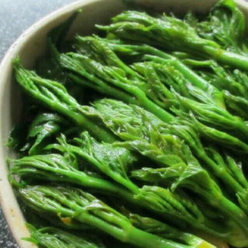 명인이 키운 여름 두릅, 잃어버린 입맛을 되찾다!