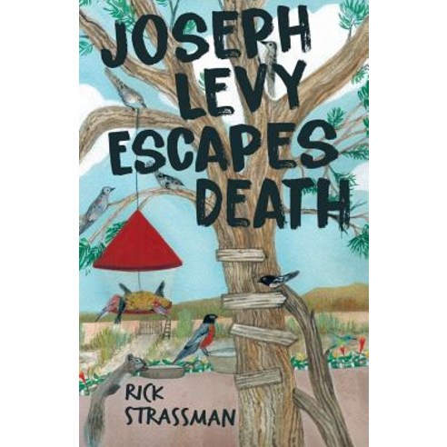 Joseph Levy Escapes Death Paperback, Regent Press Printers & Publishers