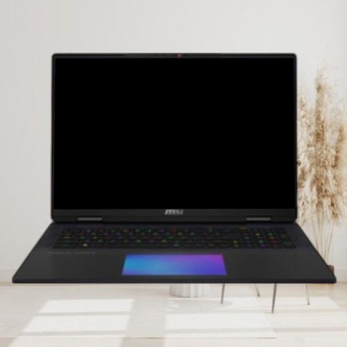 MSI 2024 타이탄 18 HX 코어i9 인텔 14세대 지포스 RTX 4090, 블랙, 4608GB, 64GB, WIN11 Pro, A14VIG (097KR)