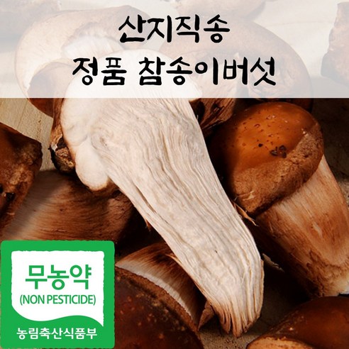 국내산 친환경 정품 참송이 버섯, 1박스, 500g(상품)