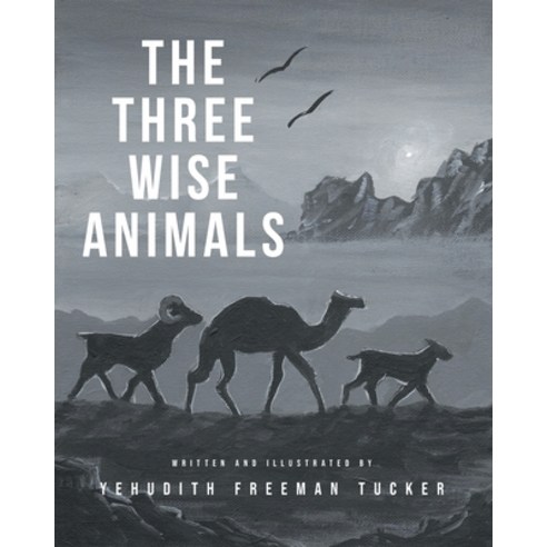 The Three Wise Animals Paperback, Newman Springs Publishing, ..., English, 9781636920566