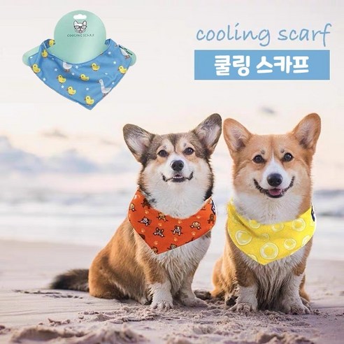 다바이마켓 애견 귀여운 쿨링 냉감각 수건 얼음 같은 느낌 L 사이즈, 1개, 블루