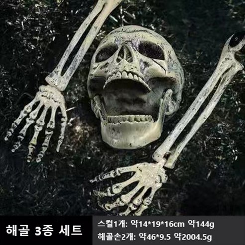 할로윈 분위기를 고조시키는 사실적인 해골 장식