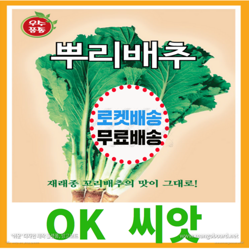 [OK씨앗] [뿌리배추] 뿌리배추씨앗(오케이씨앗), 2000립